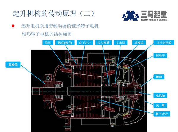 �����綯��«��Ҷ��